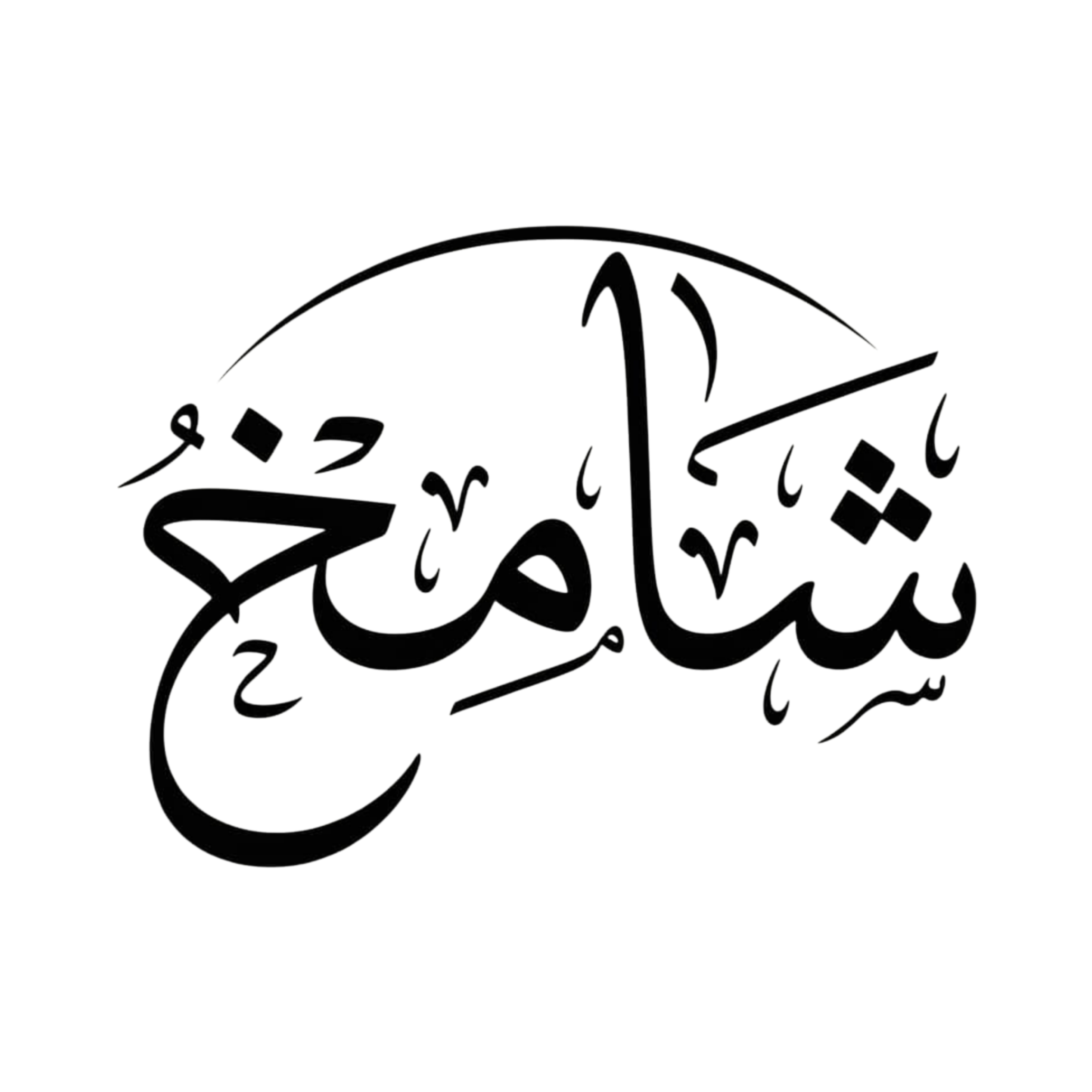 ستوديو شامخ